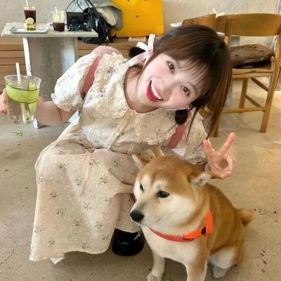 一梦如故